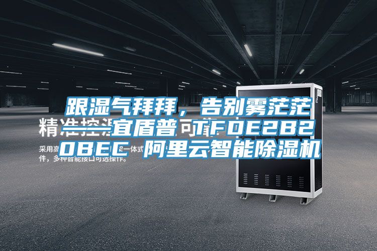 跟濕氣拜拜，告別霧茫?！硕芷?TFDE2B20BEC 阿里云智能除濕機