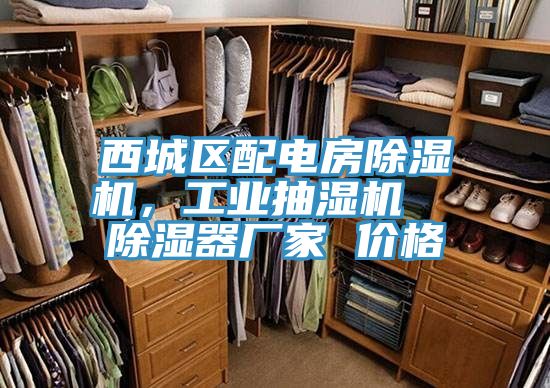 西城區(qū)配電房除濕機(jī)，工業(yè)抽濕機(jī)  除濕器廠家 價(jià)格