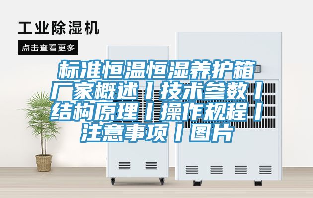 標準恒溫恒濕養(yǎng)護箱廠家概述丨技術參數(shù)丨結(jié)構(gòu)原理丨操作規(guī)程丨注意事項丨圖片