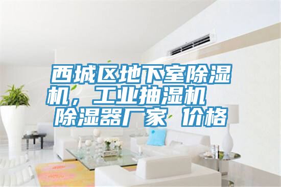 西城區(qū)地下室除濕機(jī)，工業(yè)抽濕機(jī)  除濕器廠家 價(jià)格