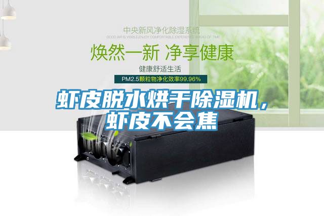 蝦皮脫水烘干除濕機，蝦皮不會焦