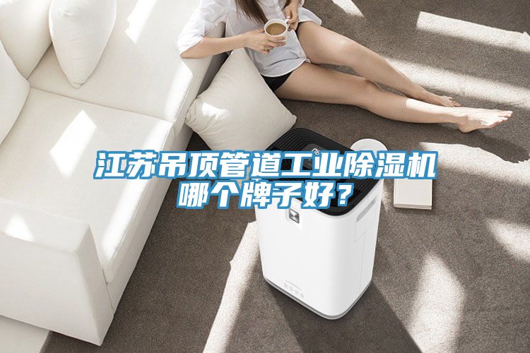 江蘇吊頂管道工業(yè)除濕機(jī)哪個(gè)牌子好？