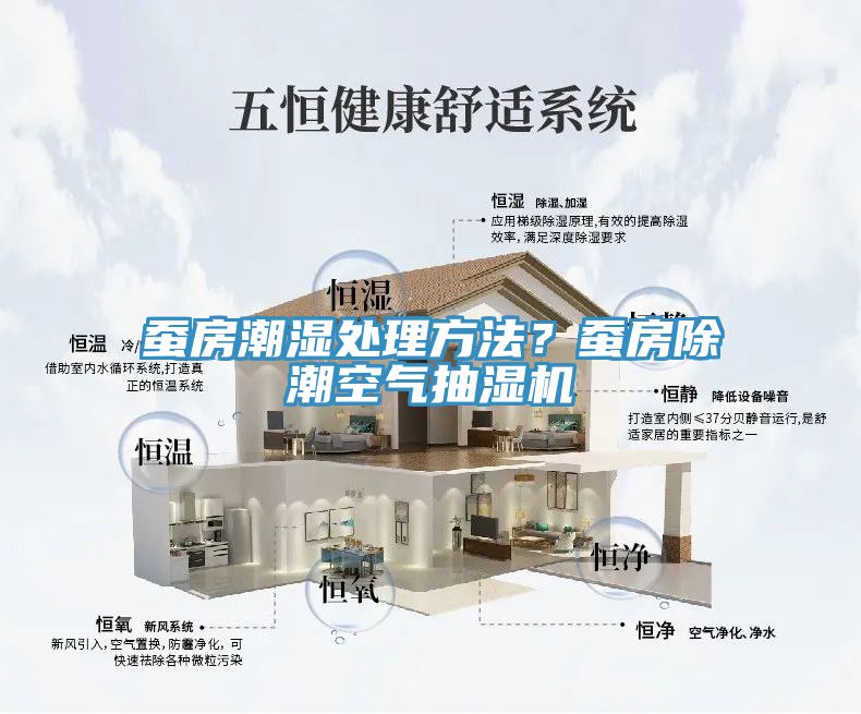 蠶房潮濕處理方法？蠶房除潮空氣抽濕機