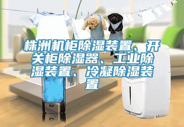 株洲機(jī)柜除濕裝置、開(kāi)關(guān)柜除濕器、工業(yè)除濕裝置、冷凝除濕裝置