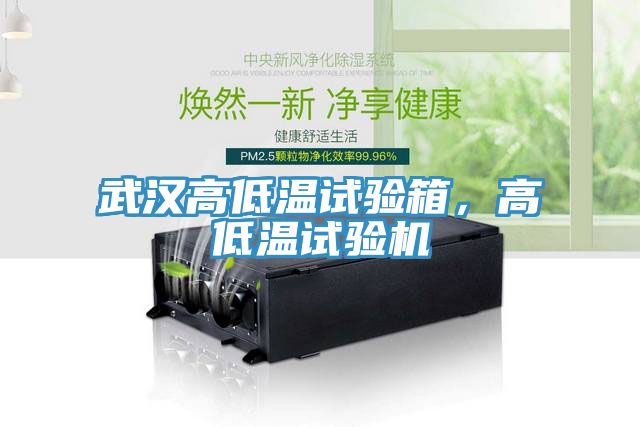 武漢高低溫試驗(yàn)箱，高低溫試驗(yàn)機(jī)