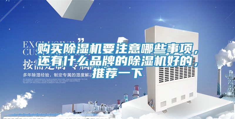 購買除濕機(jī)要注意哪些事項(xiàng)，還有什么品牌的除濕機(jī)好的，推薦一下
