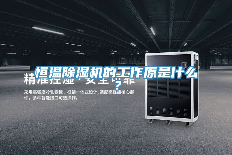 恒溫除濕機(jī)的工作原是什么？