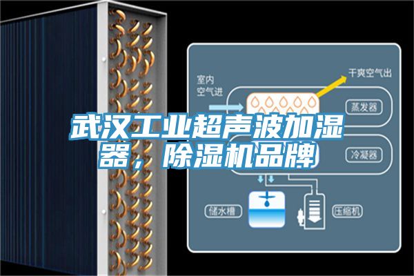 武漢工業(yè)超聲波加濕器，除濕機(jī)品牌