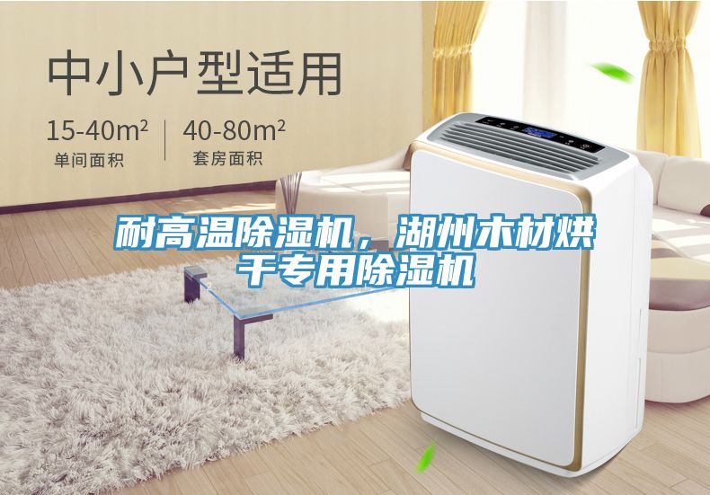 耐高溫除濕機，湖州木材烘干專用除濕機