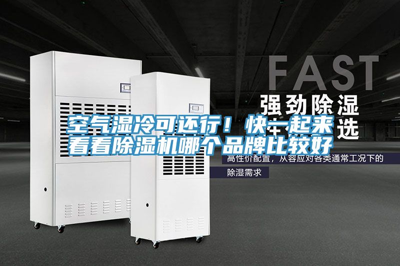 空氣濕冷可還行！快一起來(lái)看看除濕機(jī)哪個(gè)品牌比較好
