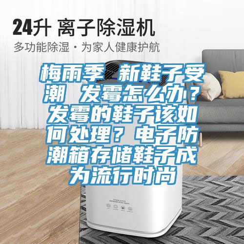 梅雨季 新鞋子受潮 發(fā)霉怎么辦？發(fā)霉的鞋子該如何處理？電子防潮箱存儲鞋子成為流行時尚