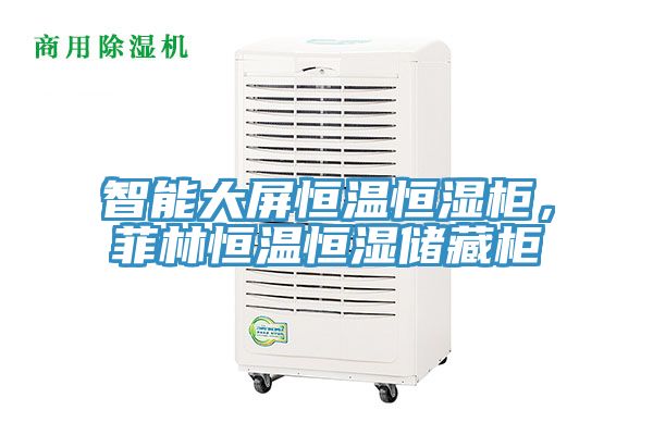 智能大屏恒溫恒濕柜，菲林恒溫恒濕儲(chǔ)藏柜
