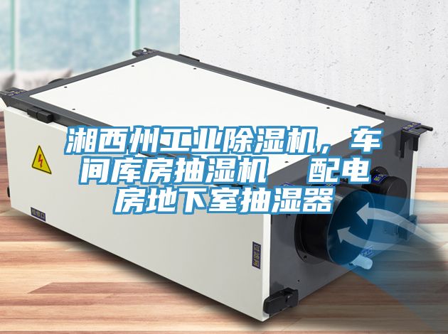 湘西州工業(yè)除濕機(jī)，車(chē)間庫(kù)房抽濕機(jī)  配電房地下室抽濕器