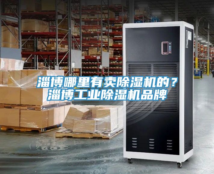 淄博哪里有賣除濕機(jī)的？淄博工業(yè)除濕機(jī)品牌