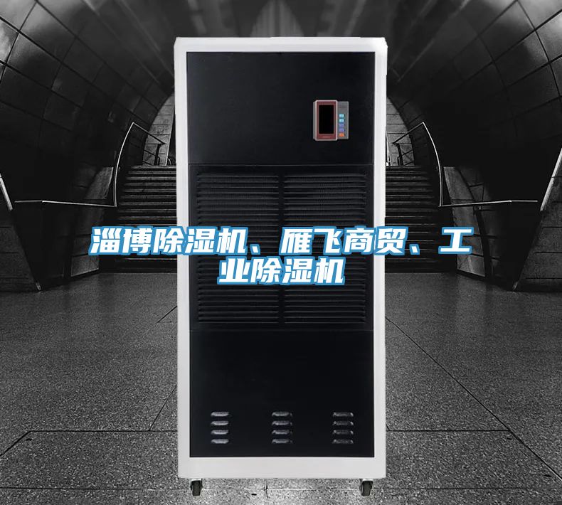 淄博除濕機、雁飛商貿、工業(yè)除濕機