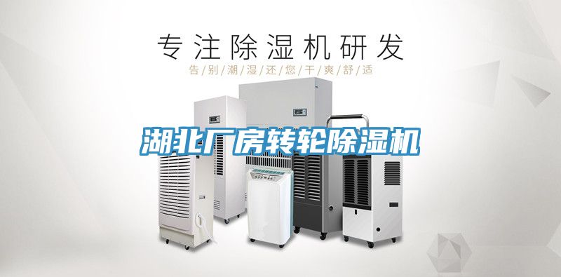 湖北廠(chǎng)房轉(zhuǎn)輪除濕機(jī)