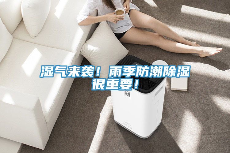 濕氣來(lái)襲！雨季防潮除濕很重要！