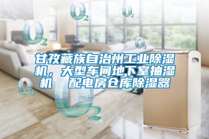 甘孜藏族自治州工業(yè)除濕機(jī)，大型車間地下室抽濕機(jī)  配電房倉(cāng)庫除濕器