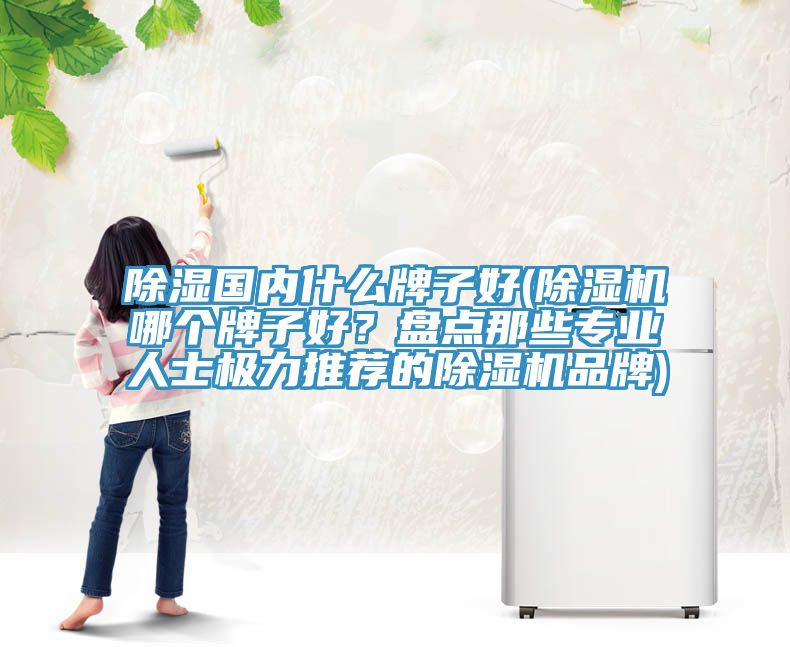 除濕國(guó)內(nèi)什么牌子好(除濕機(jī)哪個(gè)牌子好？盤點(diǎn)那些專業(yè)人士極力推薦的除濕機(jī)品牌)