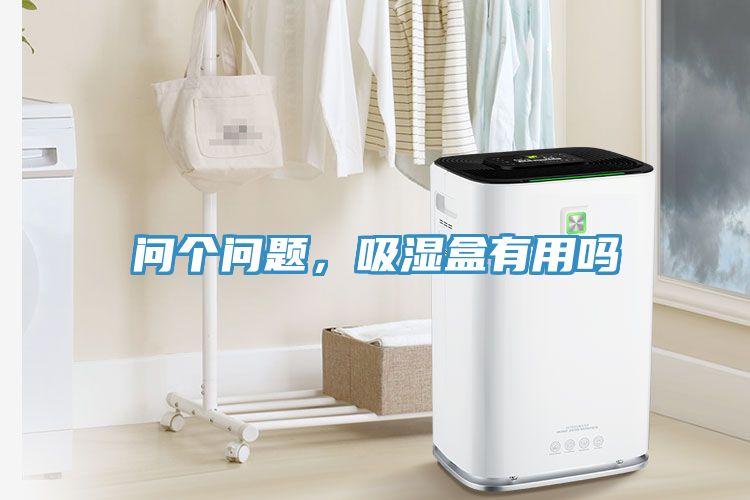 問個問題，吸濕盒有用嗎