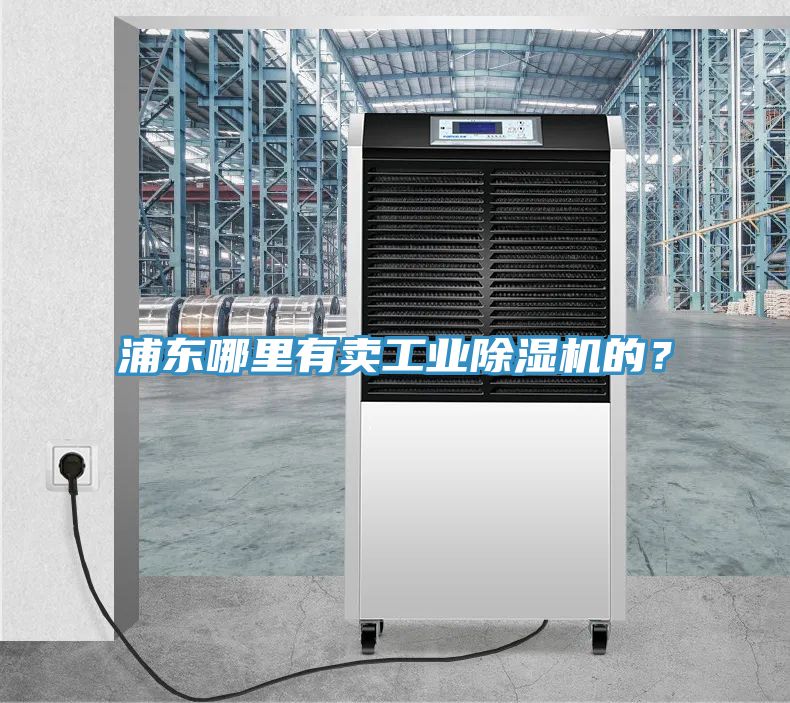 浦東哪里有賣工業(yè)除濕機(jī)的？