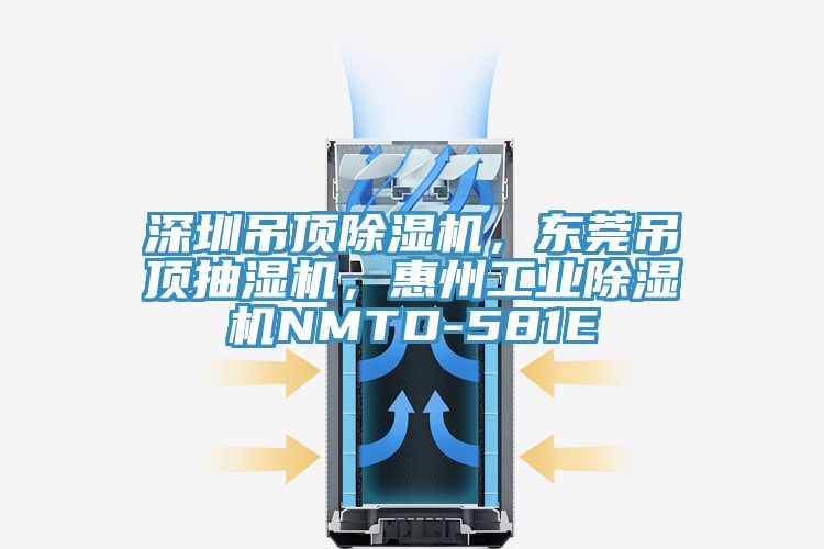 深圳吊頂除濕機，東莞吊頂抽濕機，惠州工業(yè)除濕機NMTD-581E