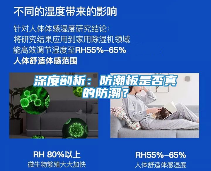 深度剖析：防潮板是否真的防潮？