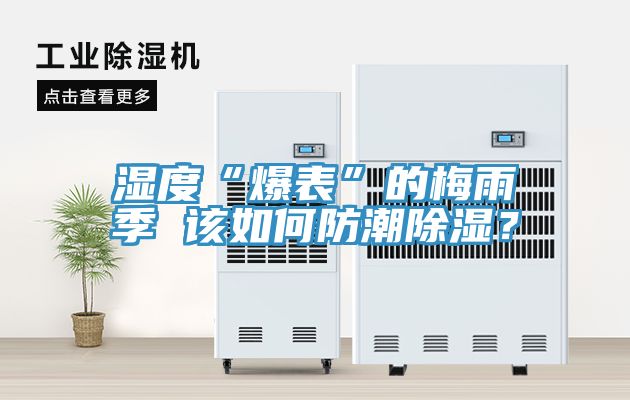 濕度“爆表”的梅雨季 該如何防潮除濕？
