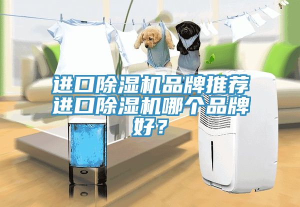 進(jìn)口除濕機(jī)品牌推薦進(jìn)口除濕機(jī)哪個品牌好？