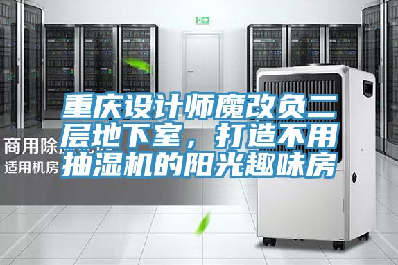 重慶設(shè)計師魔改負二層地下室，打造不用抽濕機的陽光趣味房