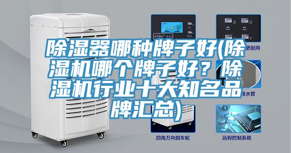 除濕器哪種牌子好(除濕機(jī)哪個(gè)牌子好？除濕機(jī)行業(yè)十大知名品牌匯總)
