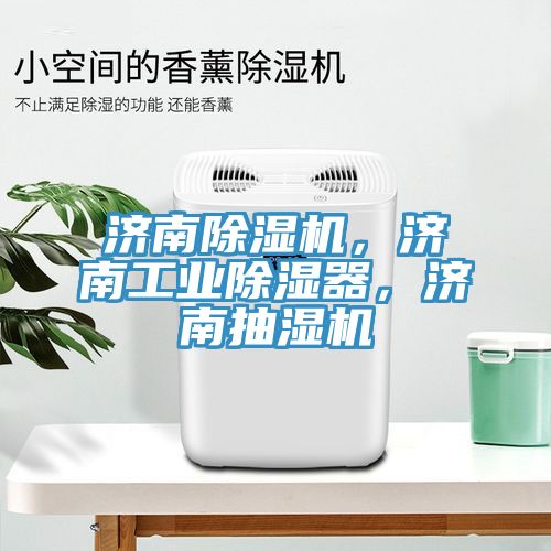濟南除濕機，濟南工業(yè)除濕器，濟南抽濕機