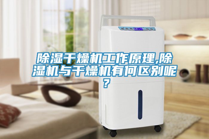 除濕干燥機工作原理,除濕機與干燥機有何區(qū)別呢？
