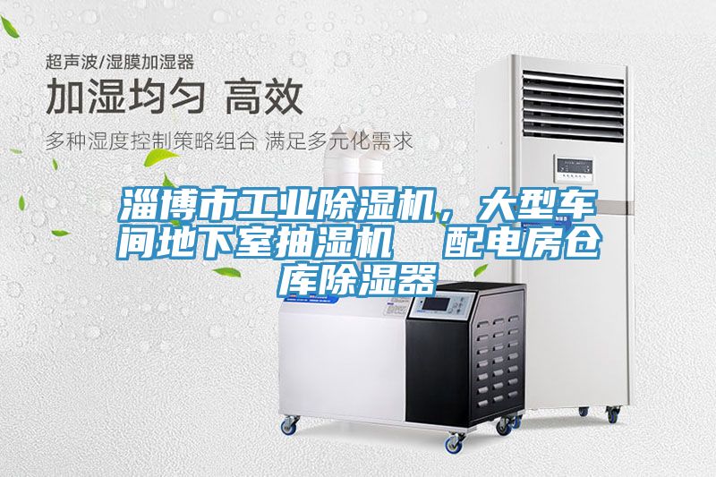 淄博市工業(yè)除濕機(jī)，大型車間地下室抽濕機(jī)  配電房倉庫除濕器