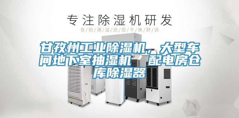 甘孜州工業(yè)除濕機(jī)，大型車間地下室抽濕機(jī)  配電房倉(cāng)庫除濕器