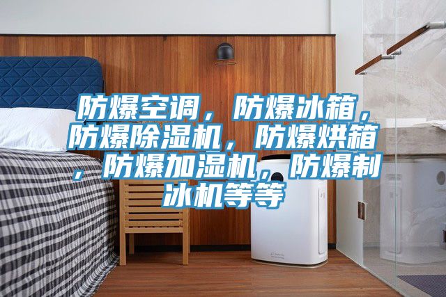 防爆空調，防爆冰箱，防爆除濕機，防爆烘箱，防爆加濕機，防爆制冰機等等