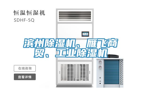 濱州除濕機(jī)、雁飛商貿(mào)、工業(yè)除濕機(jī)