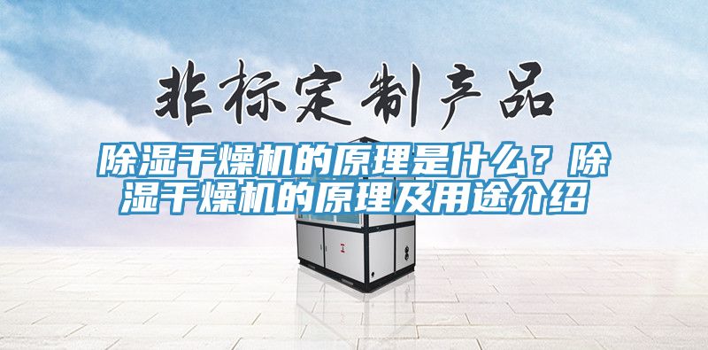除濕干燥機的原理是什么？除濕干燥機的原理及用途介紹