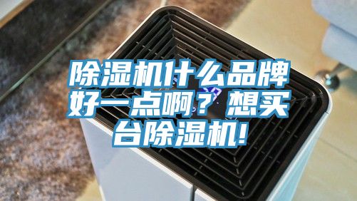 除濕機什么品牌好一點??？想買臺除濕機!