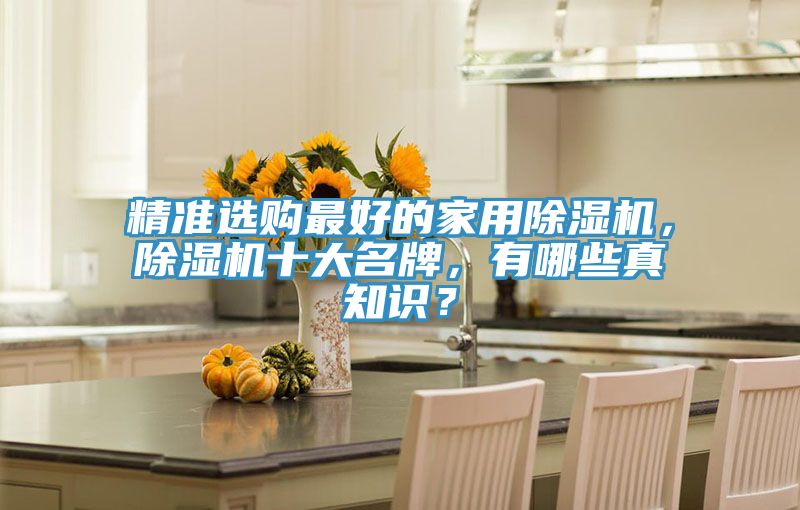 精準(zhǔn)選購最好的家用除濕機，除濕機十大名牌，有哪些真知識？