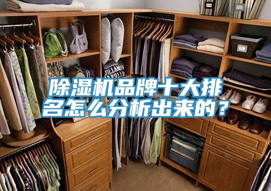 除濕機品牌十大排名怎么分析出來的？