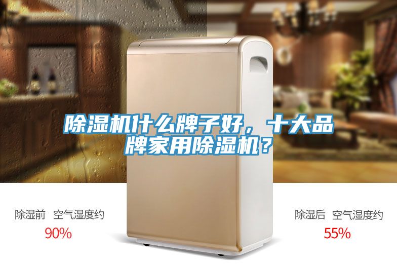 除濕機(jī)什么牌子好，十大品牌家用除濕機(jī)？