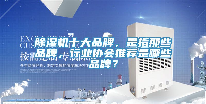 除濕機(jī)十大品牌，是指那些品牌，行業(yè)協(xié)會(huì)推薦是哪些品牌？