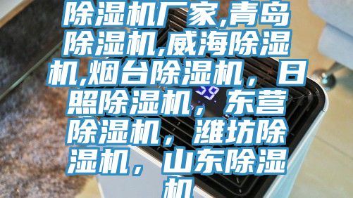 除濕機(jī)廠家,青島除濕機(jī),威海除濕機(jī),煙臺(tái)除濕機(jī)，日照除濕機(jī)，東營除濕機(jī)，濰坊除濕機(jī)，山東除濕機(jī)