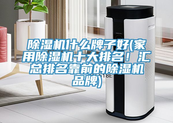除濕機(jī)什么牌子好(家用除濕機(jī)十大排名！匯總排名靠前的除濕機(jī)品牌)