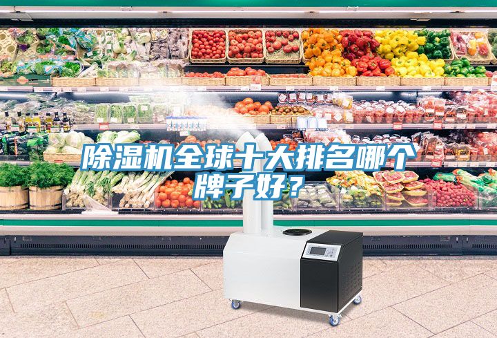 除濕機(jī)全球十大排名哪個(gè)牌子好？