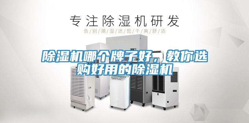 除濕機哪個牌子好，教你選購好用的除濕機