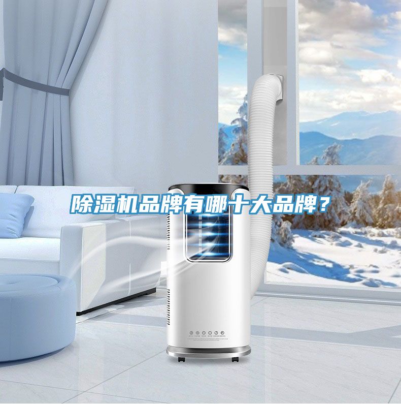除濕機(jī)品牌有哪十大品牌？