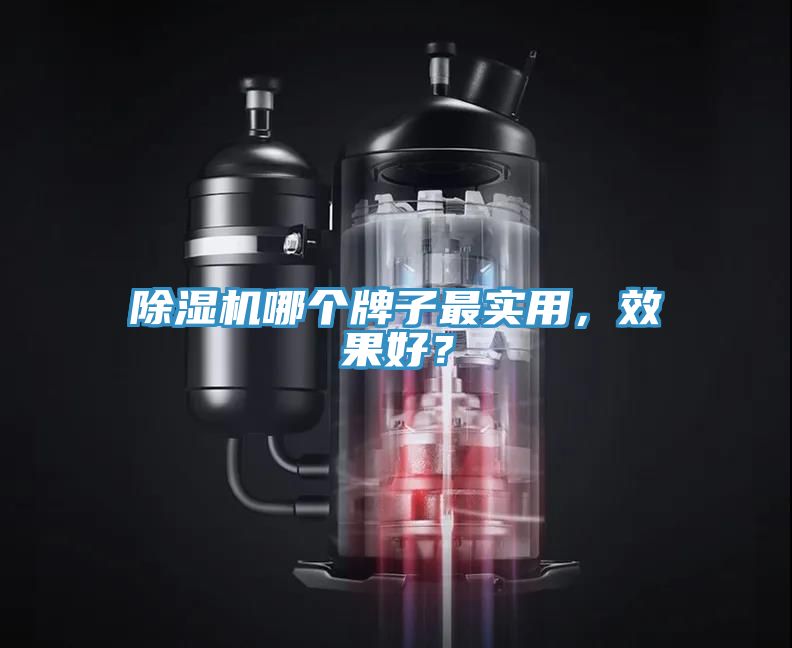 除濕機(jī)哪個牌子最實(shí)用，效果好？