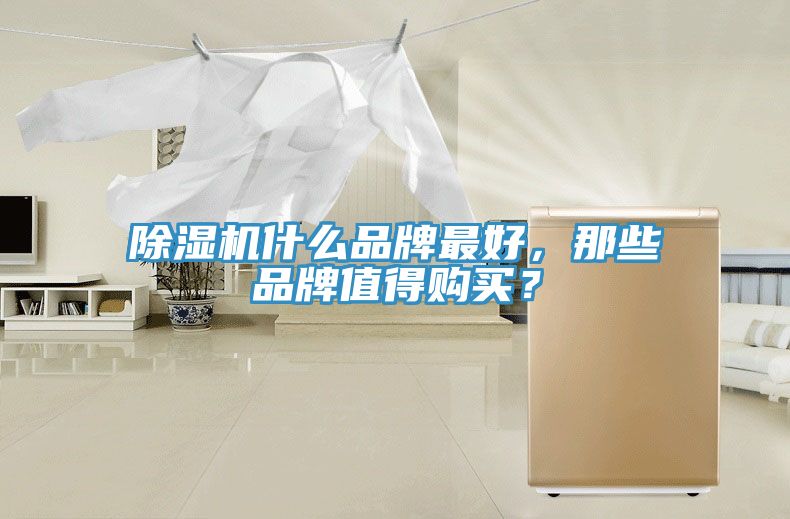 除濕機什么品牌最好，那些品牌值得購買？